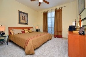 One Bedroom Apartment For Rent in Houston