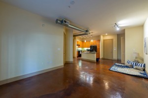 One Bedroom Apartments for Rent in Houston, TX - Apartment Kitchen & Living Room & Dining Room  