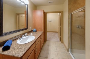 One Bedroom Apartments in Houston, TX - Apartment Bathroom & Enclosed Shower with Closet View
