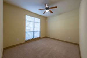 One Bedroom Apartments in Houston, TX - Apartment Bedroom