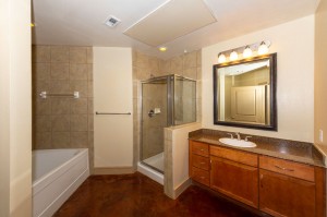 Two Bedroom Apartments for Rent in Houston, Texas - Apartment Bathroom with Shower Stall & Tub