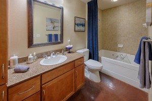 Two Bedroom Apartments for Rent in Houston, Texas - Model Bathroom  