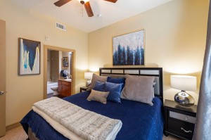 Two Bedroom Apartments for Rent in Houston, Texas - Model Bedroom with Bathroom View  