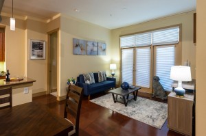 Two Bedroom Apartments for Rent in Houston, Texas - Model Living Room    