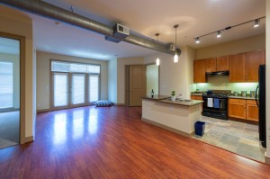 Two Bedroom Apartments in Houston, TX - Apartment Kitchen & Living Room